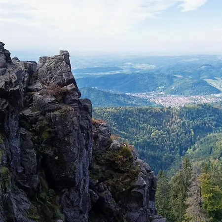 Apartmán *schwarzwald-apartment 2° *