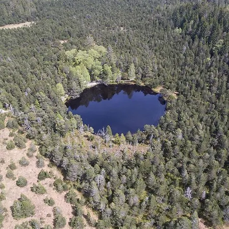 *schwarzwald-apartment 2° * Apartamento