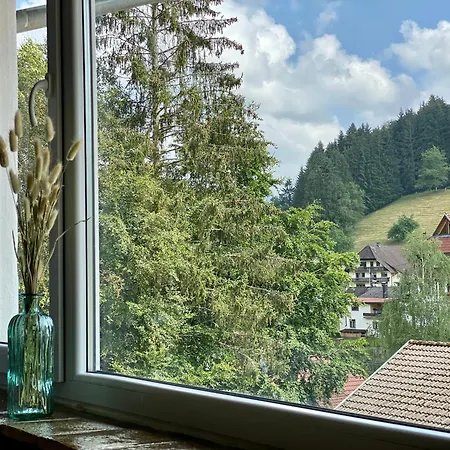 *schwarzwald-apartment 2° *