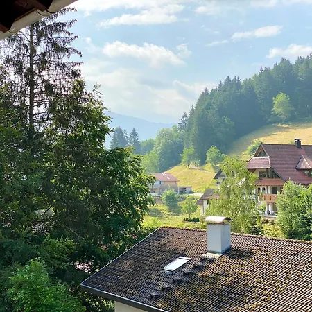 *schwarzwald-apartment 2° * *