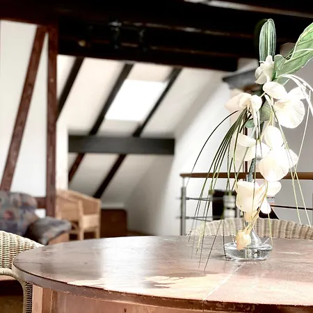 Apartamento *schwarzwald-apartment 2° *