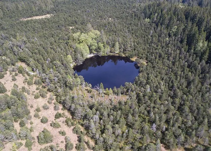 *schwarzwald-apartment 2° * アパート