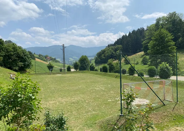 *schwarzwald-apartment 2° *