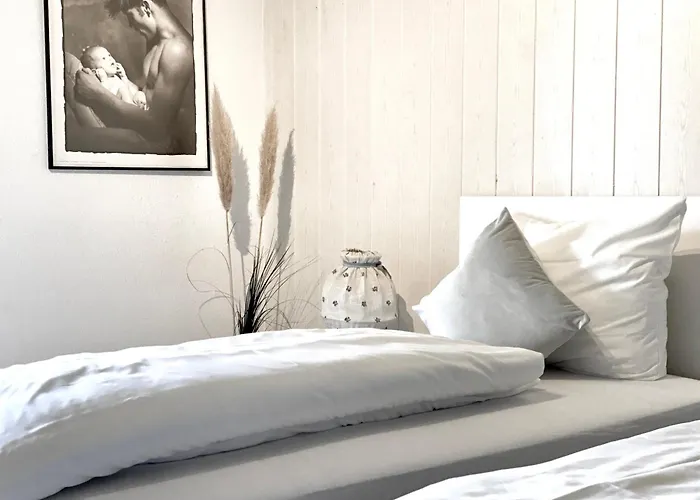 アパート *schwarzwald-apartment 2° * *