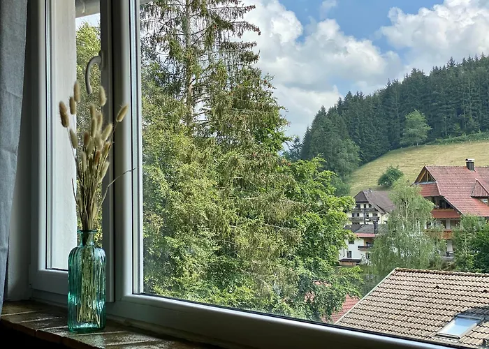 *schwarzwald-apartment 2° *