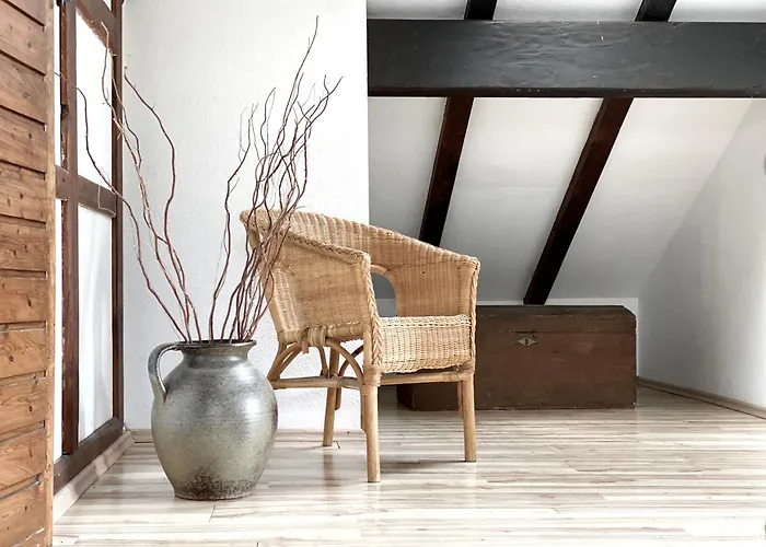 アパート *schwarzwald-apartment 2° *