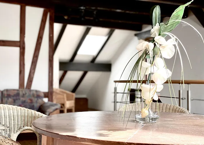 アパート *schwarzwald-apartment 2° *