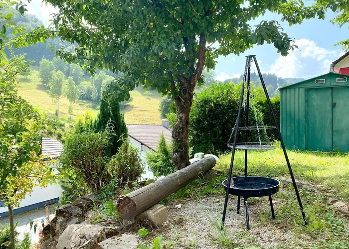 *schwarzwald-apartment 2° * アパート エルツァッハ